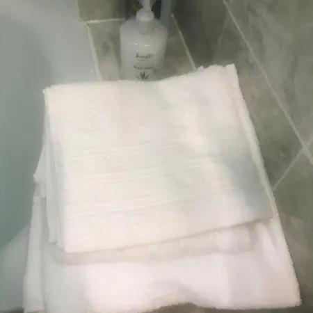 Ana Apartamento